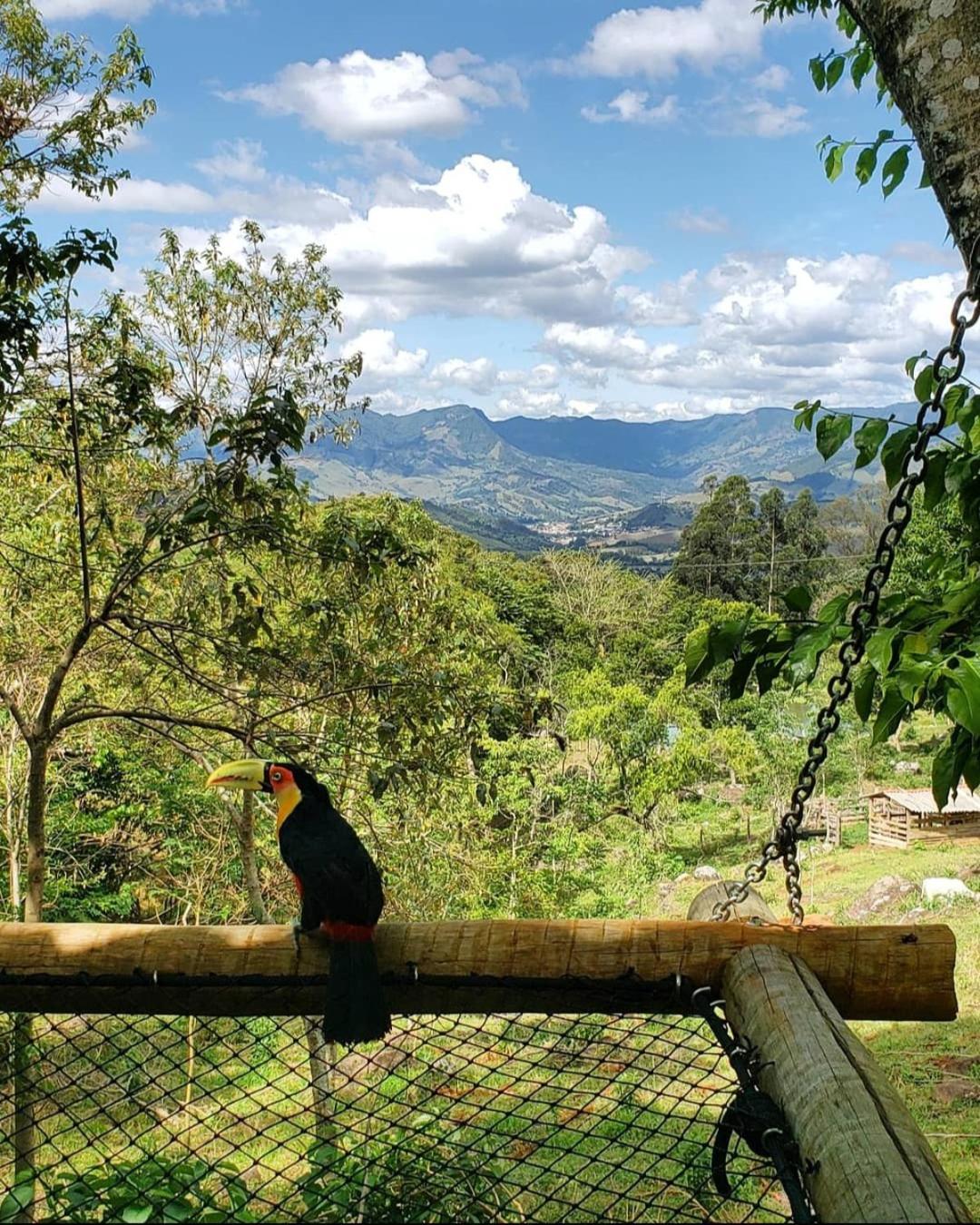 Hospedaria Vida na Roça São Bento do Sapucaí Exterior foto